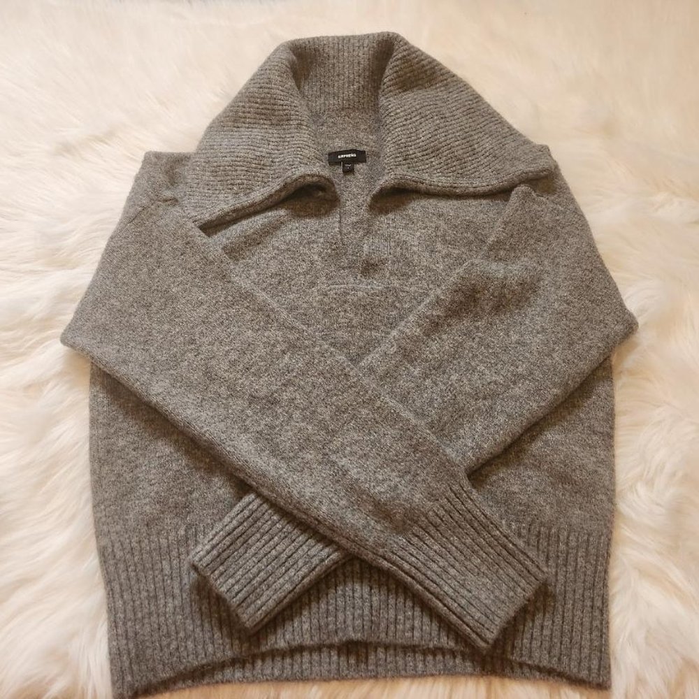 Express V-Neck Long Sleeve Polo Sweater